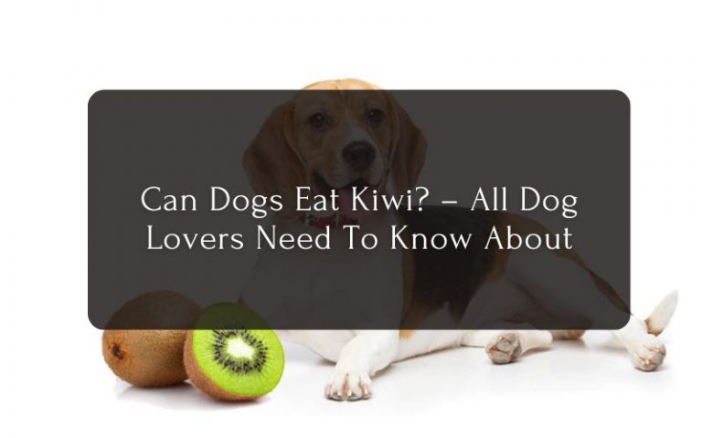 Can Dogs Eat Kiwi All Dog Lovers Need To Know About