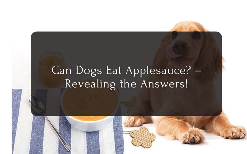 Can Dogs Eat Applesauce Revealing the Answers