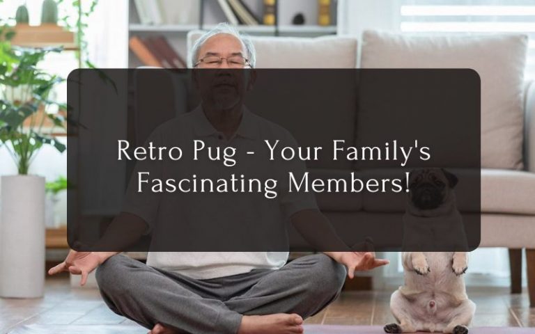 Retro Pug - Your Family's Fascinating Members!